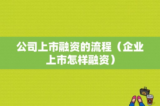 公司上市融资的流程（企业上市怎样融资）