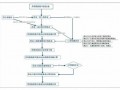 国税申报具体流程（国税申报具体流程图）