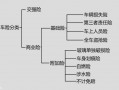 购买车辆保险流程（购买车保险的流程）