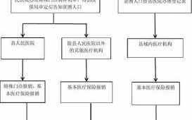 廊坊特病报销流程（廊坊特病报销流程图）