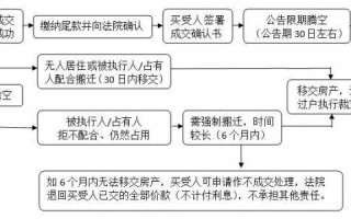 房屋法院拍卖流程（房屋法院拍卖流程视频）