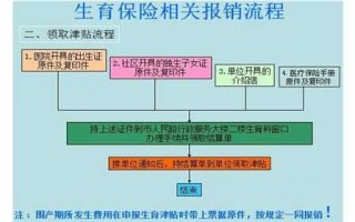 中山市生育险报销流程（中山市社保生育险报销条件）