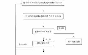 招标流程及应标（招标的大致流程）