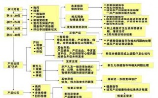 上海产检报销流程（上海产检报销流程及时间）