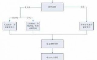 健字号重审流程（健字号审批流程费用）