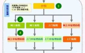 一般纳税人报税流程图（一般纳税人报税视频教程）