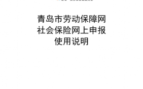 青岛社保申报流程（青岛社保政策咨询）