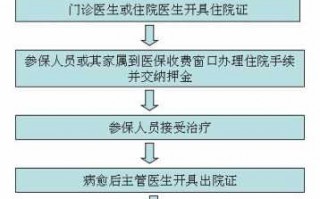 省内跨市医保报销流程（医保省内跨市就医报销流程）