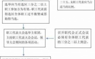 选举职代会流程（职代会选举人数比例）