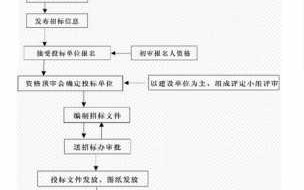 政府项目招投标流程（政府项目招投标流程图）