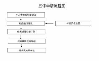 五保户报销流程（五保户报销比例是多少）