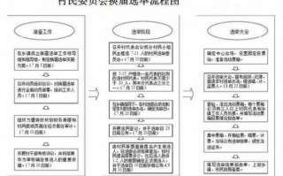 选举投票流程表（选举投票环节）