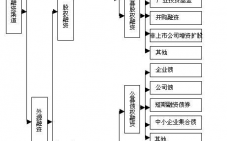 投融资决策流程（投融资决策与方法）