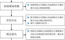 起诉平安保险流程（起诉平安保险过程）