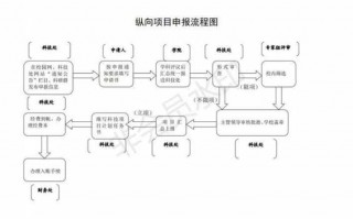 项目审报流程（项目审批步骤）