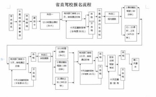 驾考报名流程（驾考报名流程图）