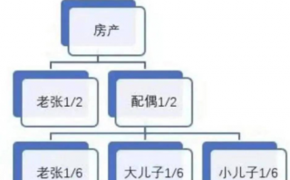 老人去世房子继承流程（老人过世,房子怎样继承最合算）