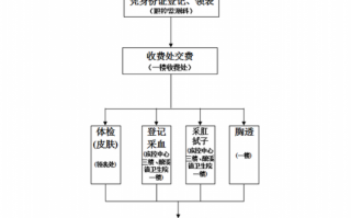 上海食品健康证流程（上海市食品健康证）