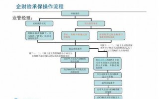 保险承保流程论文（简述保险承保工作流程）