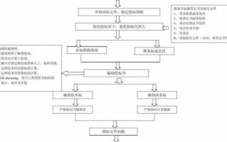 政府投标时间流程（政府投标的整个流程）