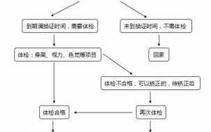 换驾驶证体检项目流程（换驾驶证体检什么项目有哪些）