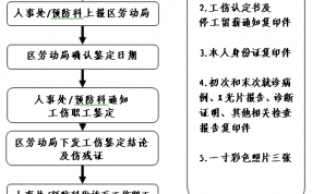 工伤的上报流程（工伤上报流程及相关规定）