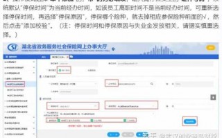 公司帮停社保流程（公司帮员工停社保需要什么材料）