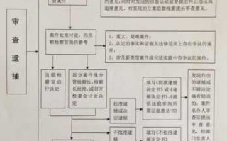 批捕后司法流程（批捕后司法流程是什么）