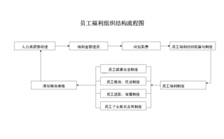 制定福利政策的流程（福利制度设计的原则）