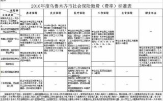 乌鲁木齐社保工资申报流程（乌鲁木齐社保查询个人账户缴费明细查询）