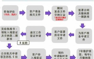 香港签证网络办理流程（香港签证网络办理流程图）