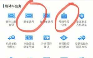 新车选牌照流程（新车选牌照流程先自编）