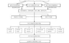 领导离职审计流程（领导离任审计的主要内容）