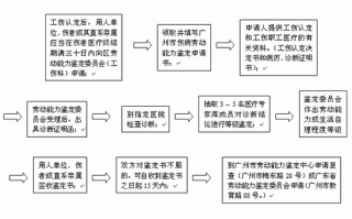 伤残鉴定办理流程（伤残鉴定申请流程）