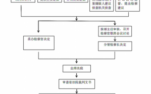 药物致死办案流程（药物致死办案流程图片）