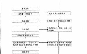 保险事故处理流程（保险事故处理流程合集）