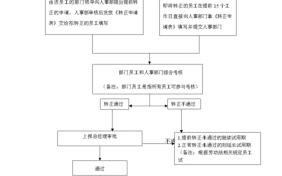 试用期转正流程（员工试用期转正流程）