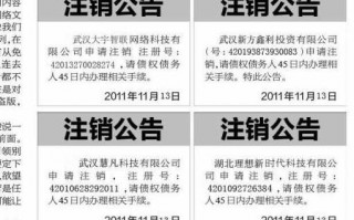 注销公司登报流程（公司注销登报注销）