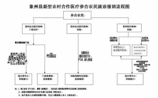 农合大病保险流程（农村合作医疗大病险怎么报销）