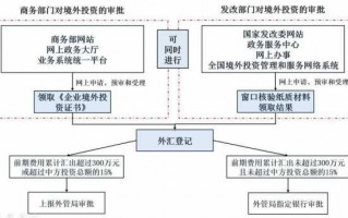 离岸公司国外投资流程（离岸公司国外投资流程图）