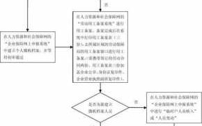 人事社保办理流程（人力资源办理社保）