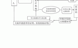 新公司成立医保流程（新公司办理医保流程）