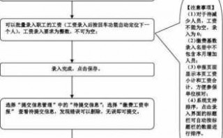 社保申报流程表（社保申报流程表图片）