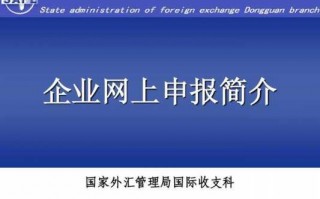 涉外收入申报流程（涉外收入申报流程包括）