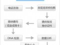 法院亲子鉴定流程（法院 亲子鉴定）