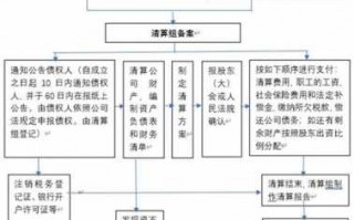 国企控股企业清算流程（国企控股企业清算流程图）