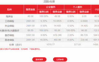 沈阳养老补缴流程（沈阳养老保险补缴政策2021）