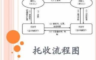 社保托收办理流程（社保局托收是什么意思）