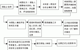 公估公司流程（公估业务流程）