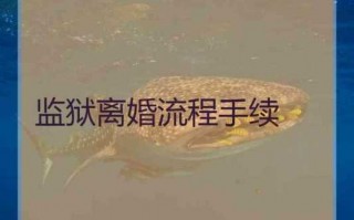 监狱办理离婚流程（监狱办理离婚流程）